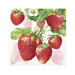 copy of 